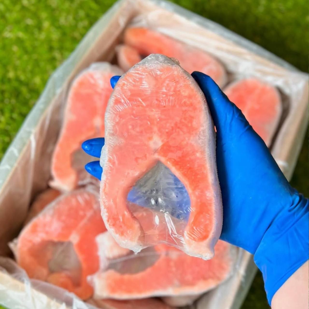 Стейки Форели